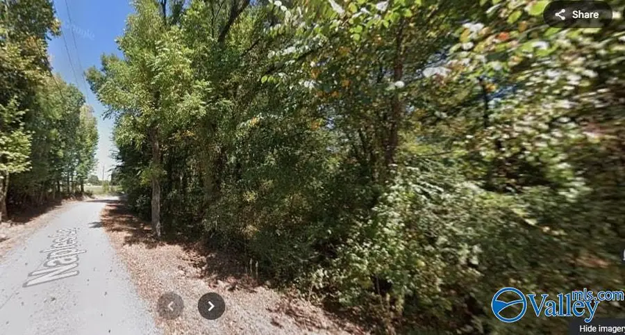 252 Naples Lane, Arab, AL 35016 - Image #3