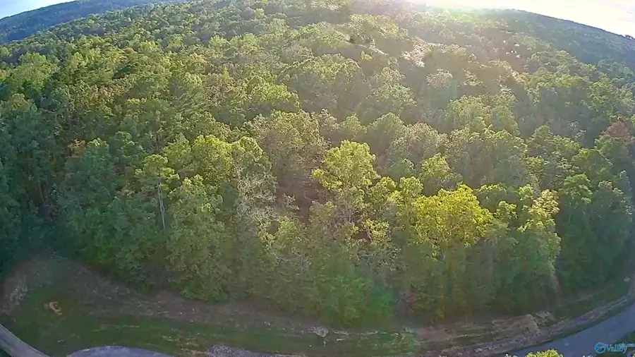 LOT 232 Stoney Point Road, Double Springs, AL 35553 - Image #3