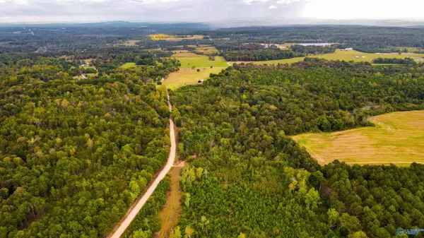 Lot 3 County Road 79, Fort Payne, AL 35967