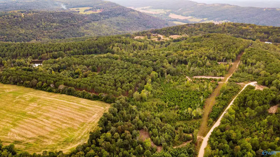 Lot 3 County Road 79, Fort Payne, AL 35967 - Image #3