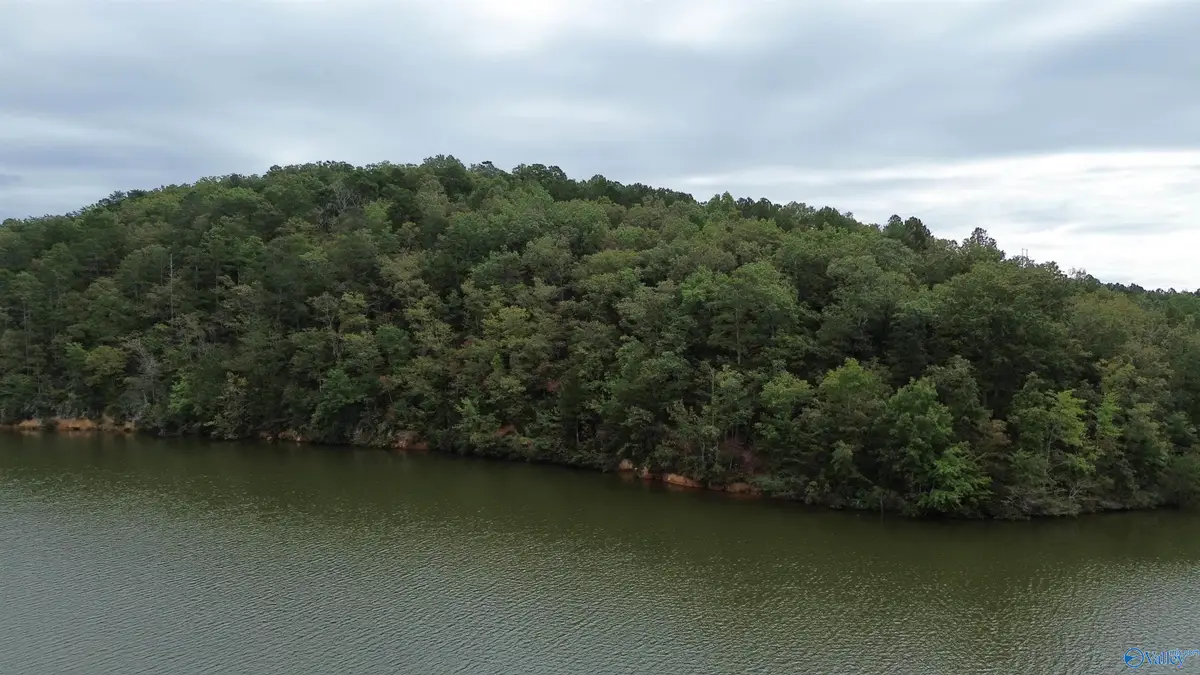 1 Highway 273, Leesburg, AL 35983 - Image #1