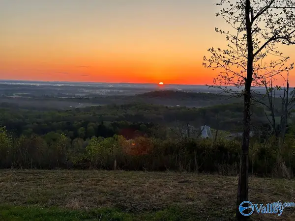 47.7 Acres County Road 200, Danville, AL 35619