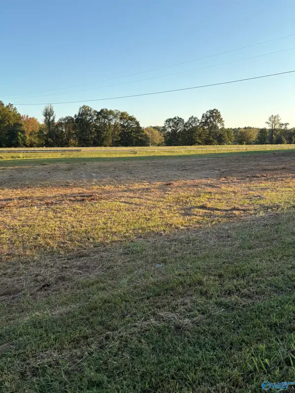 3.08+/- Acres Lokey Street, Leesburg, AL 35983