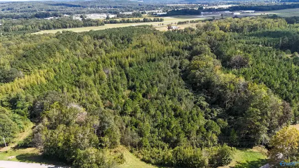 44 Acres Tall Oak Trail, Hamilton, AL 35570