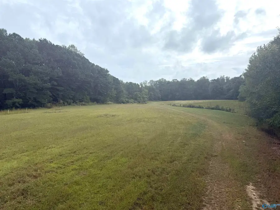 878 Lowery Road Ne, Arab, AL 35016 - Image #2