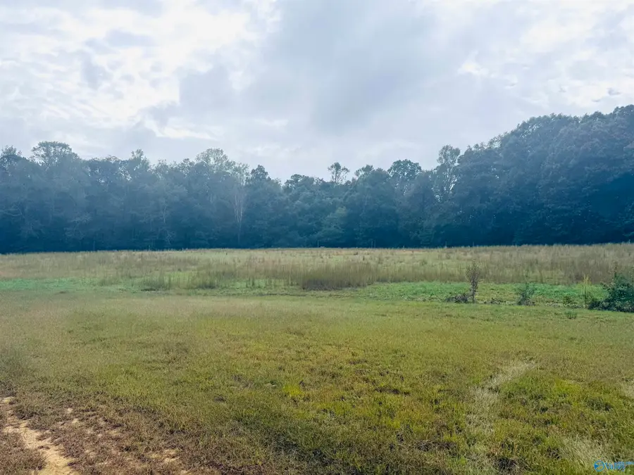 878 Lowery Road Ne, Arab, AL 35016 - Image #3