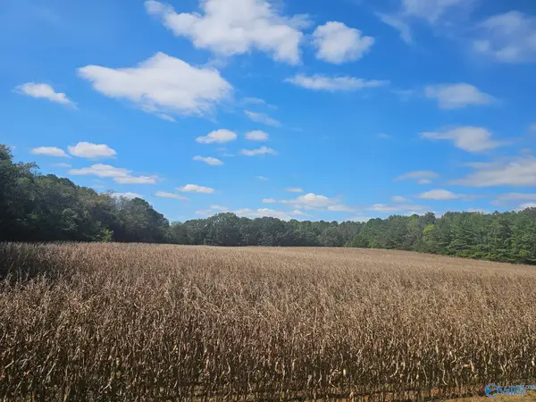 Lot 0 Landess Circle, Triana, AL 35758