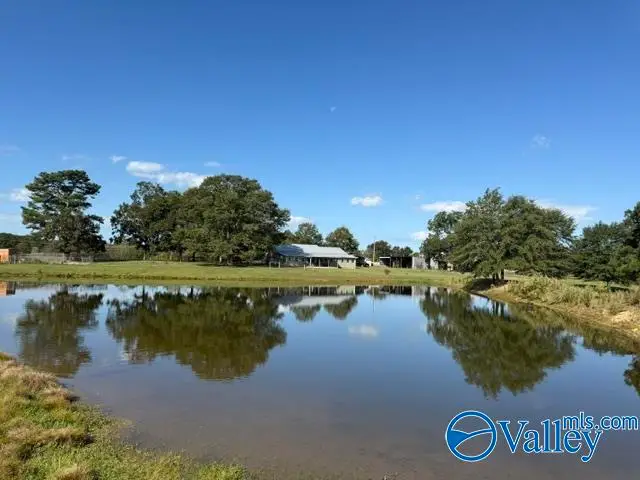 3608 County Road 3, Crossville, AL 35962 - Image #3