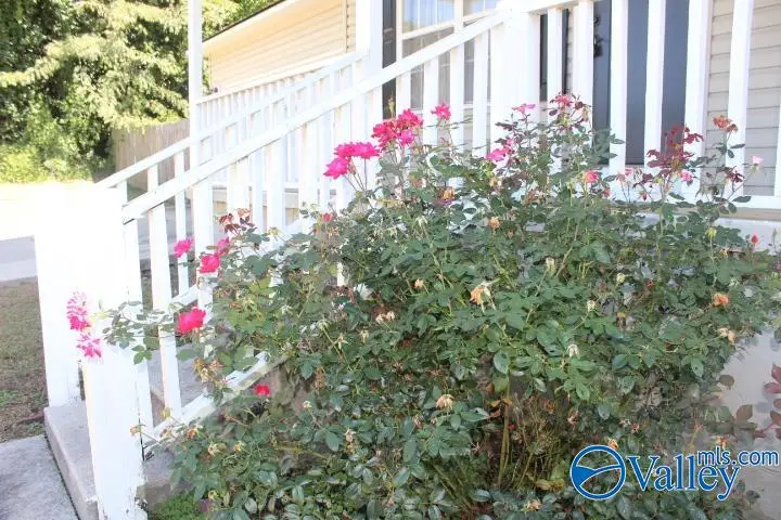 1209 Godfrey Avenue Ne, Fort Payne, AL 35967 - Image #3