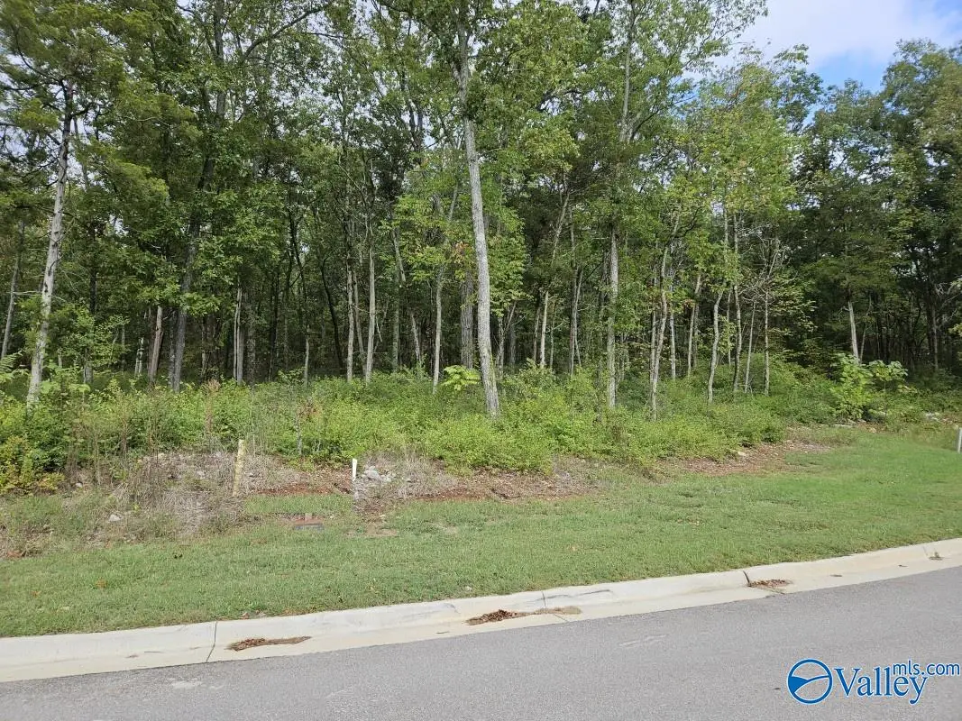 4107 Piedmont Drive, Huntsville, AL 35802 - Image #1