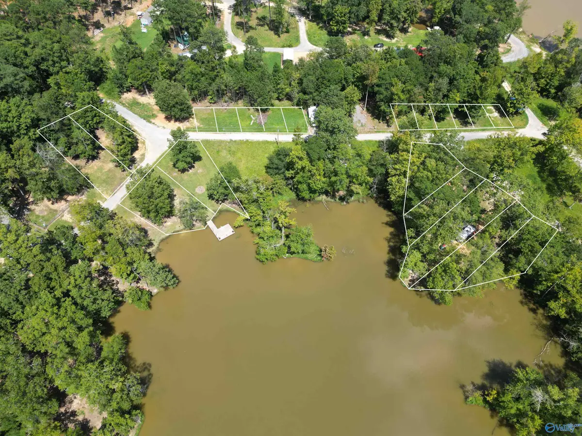 10 County Road 182, Cedar Bluff, AL 35959 - Image #1