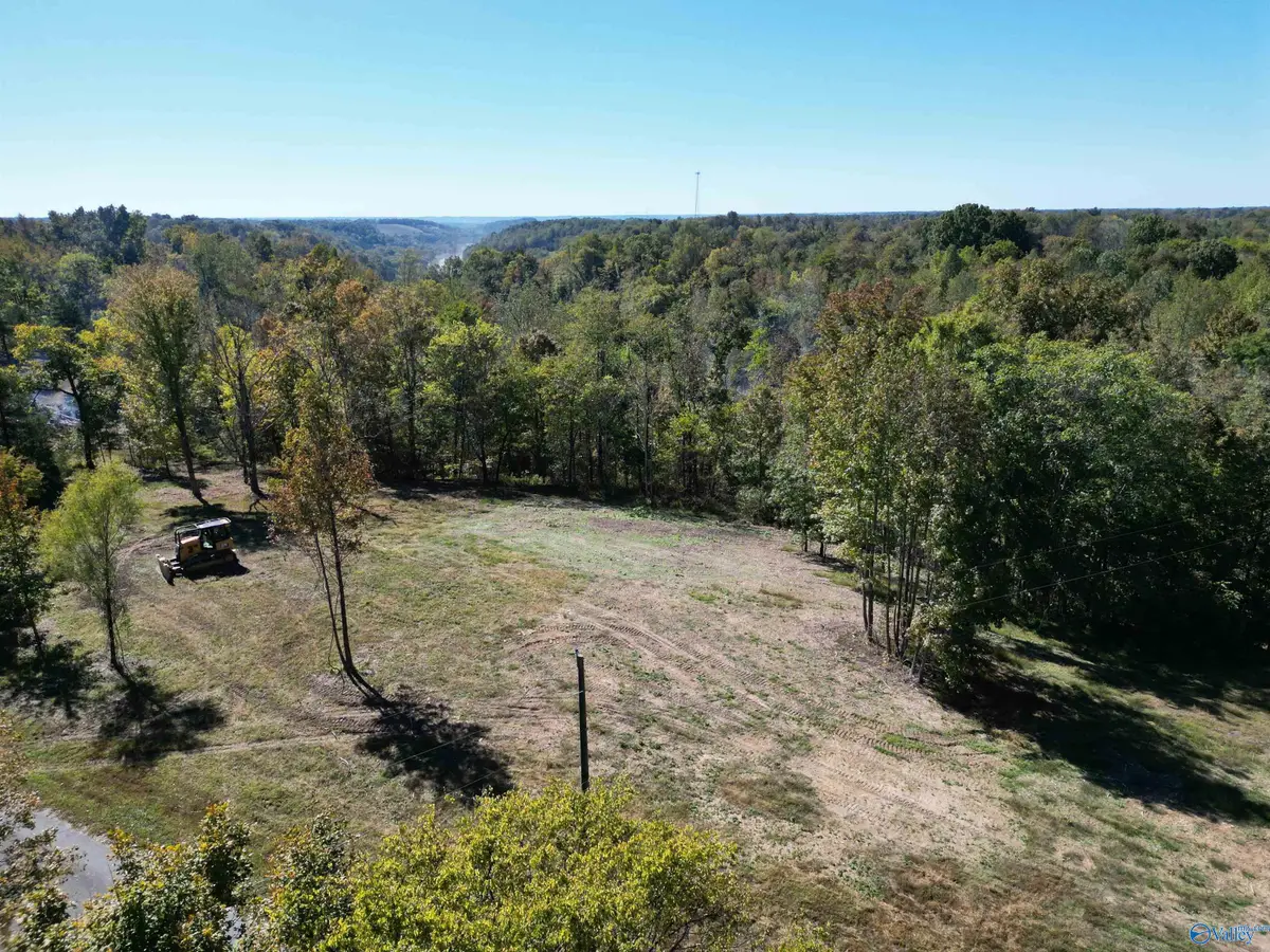 Tract3 Gunter Hollow Road, Pulaski, TN 38478 - Image #1