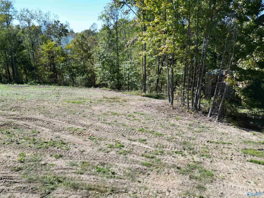 Tract3 Gunter Hollow Road, Pulaski, TN 38478 - Image #2