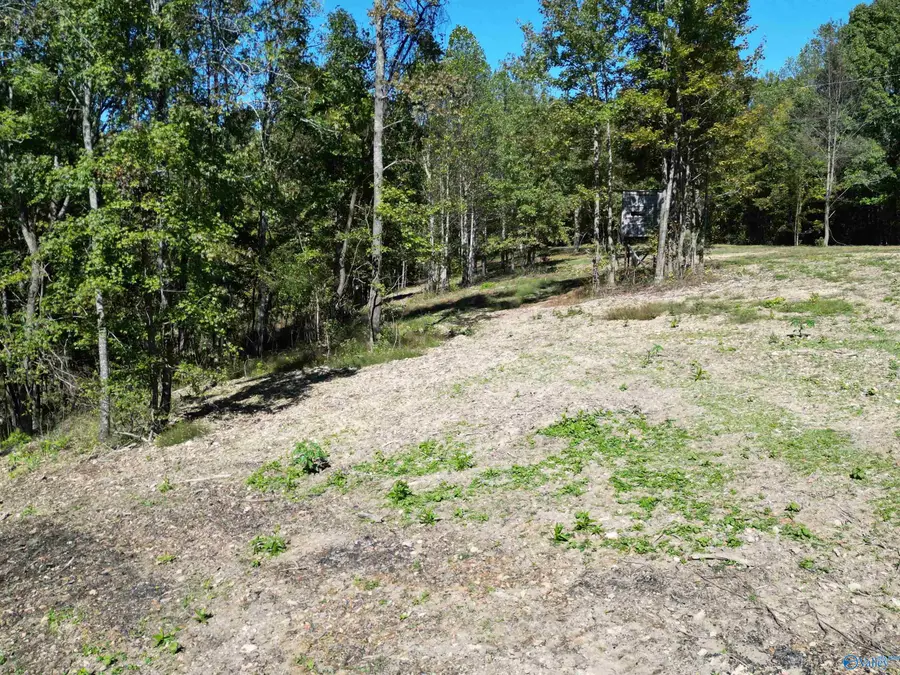 Tract3 Gunter Hollow Road, Pulaski, TN 38478 - Image #3