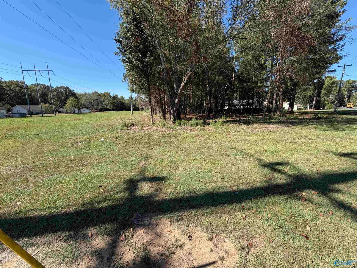 3118 Willow Beach Road, Guntersville, AL 35976 - Image #1