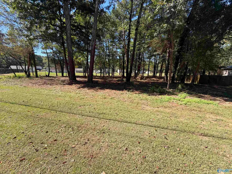 3118 Willow Beach Road, Guntersville, AL 35976 - Image #2