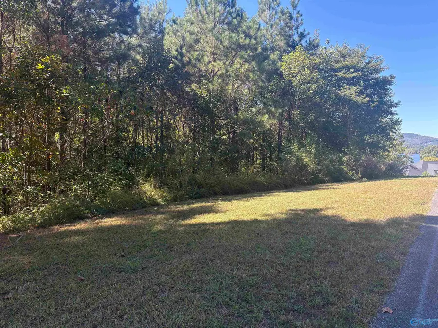 Lot 122 Lookout Mountain Drive, Scottsboro, AL 35769 - Image #2