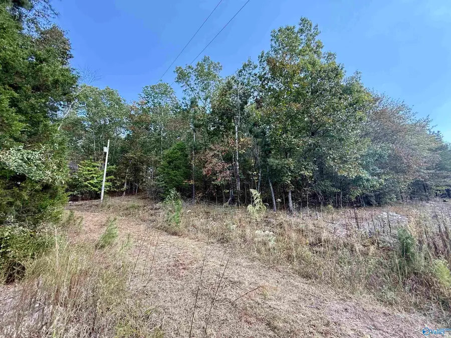 400 County Road 915, Leesburg, AL 35983 - Image #3