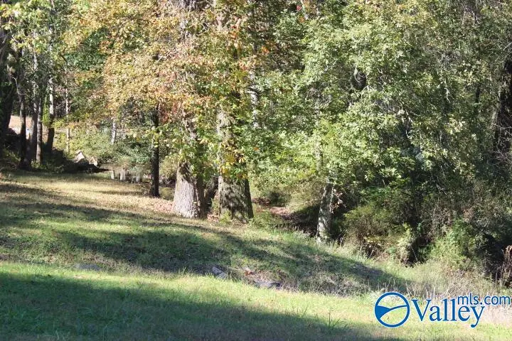 104 Bear Creek Road Se, Fort Payne, AL 35967 - Image #2