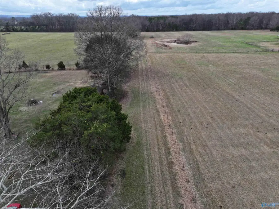 41 acres Culver Road, Falkville, AL 35622 - Image #2
