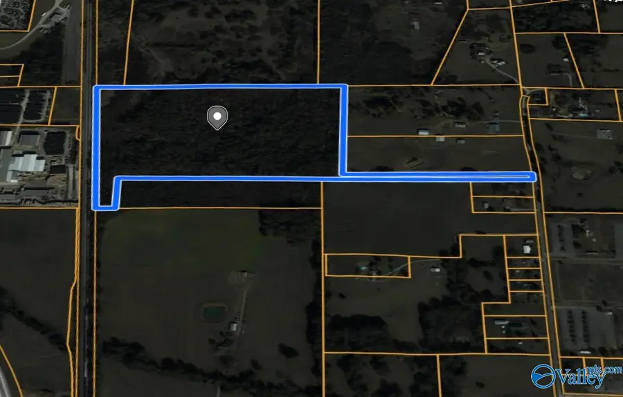 41 acres Culver Road, Falkville, AL 35622 - Image #3