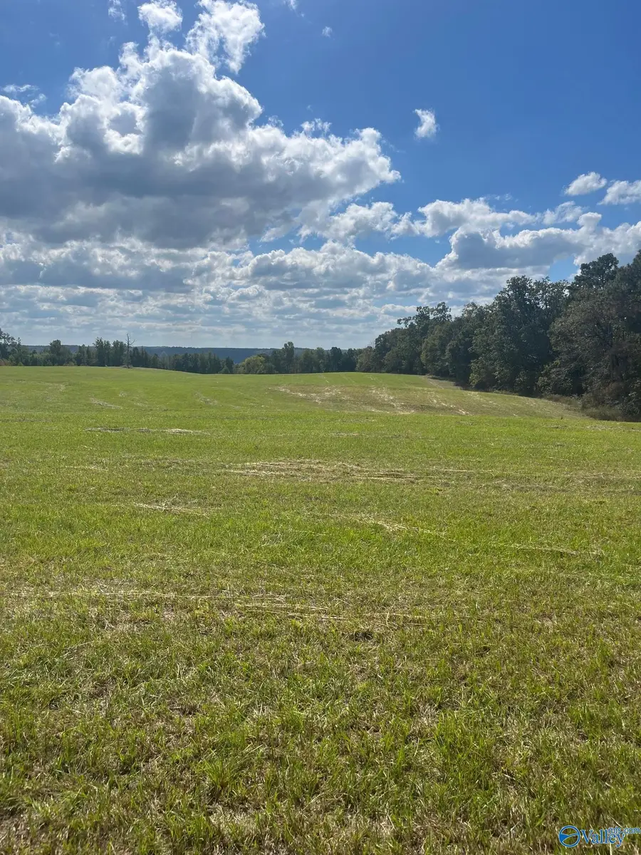 Tract 1 Latham, Eva, AL 35621 - Image #3