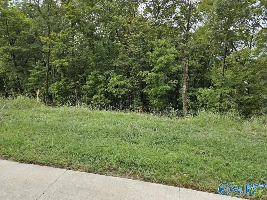 4110 Devon Street Se, Huntsville, AL 35802 - Image #1