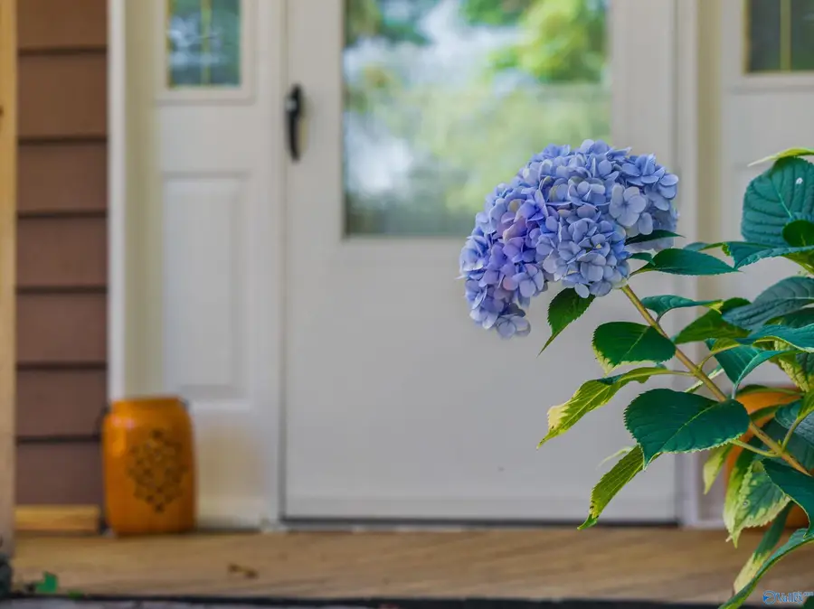 20600 Scenic Highway, Mentone, AL 35984 - Image #3