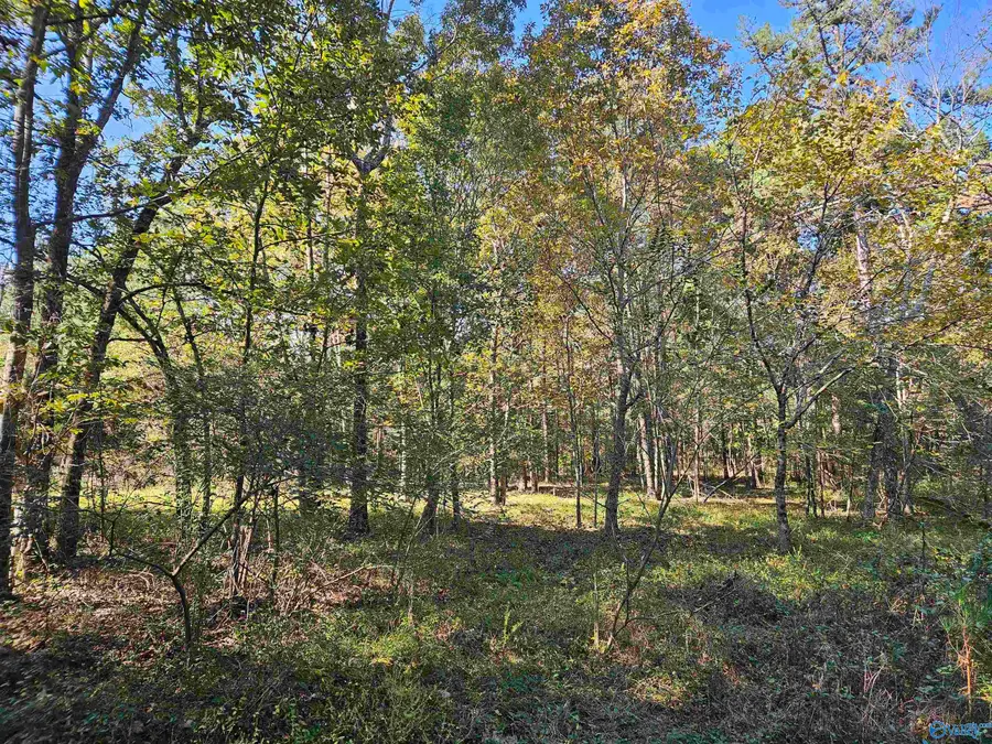 10739 County Road 103, Mentone, AL 35984 - Image #2