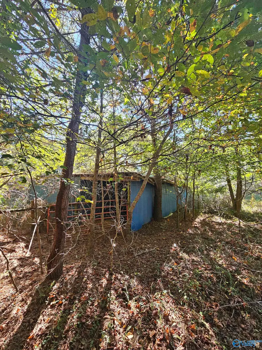 10739 County Road 103, Mentone, AL 35984 - Image #3