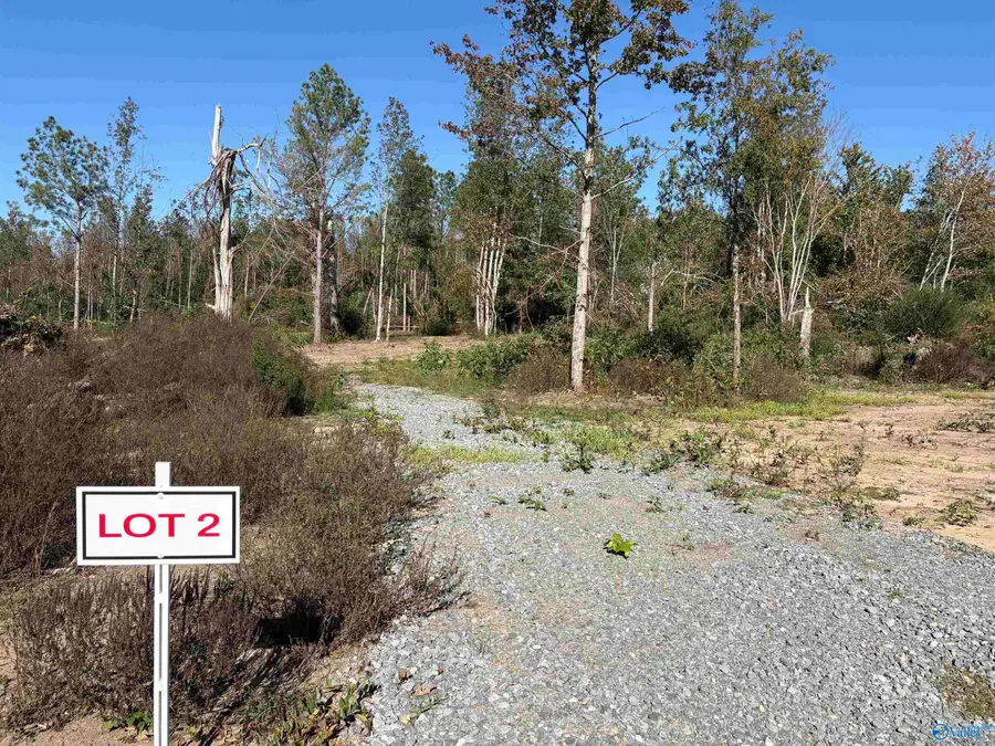 Lot 2 Hwy 40, Henagar, AL 35978 - Image #2