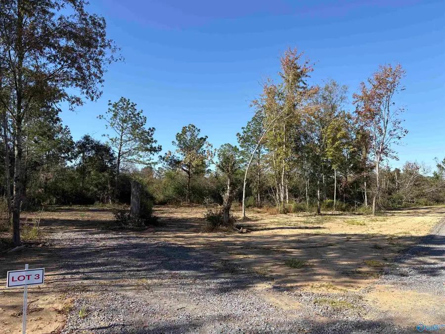 Lot 3 Hwy 40, Henagar, AL 35978 - Image #3