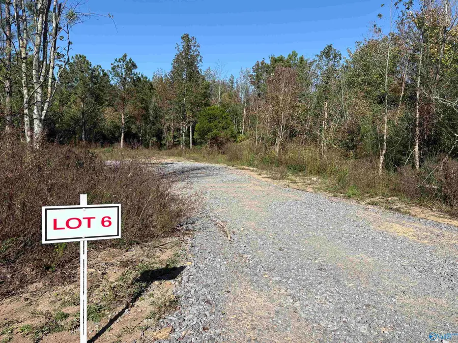 Lot 4 Hwy 40, Henagar, AL 35978 - Image #2