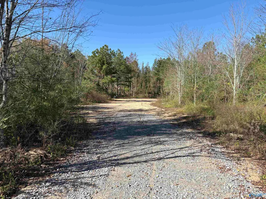 Lot 4 Hwy 40, Henagar, AL 35978 - Image #3