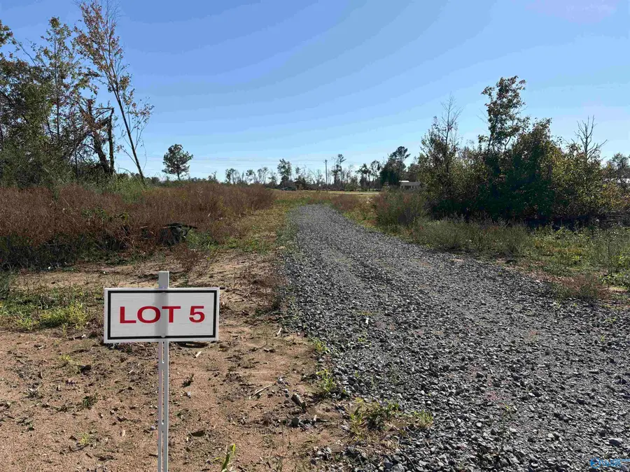 Lot 5 Hwy 40, Henagar, AL 35978 - Image #2