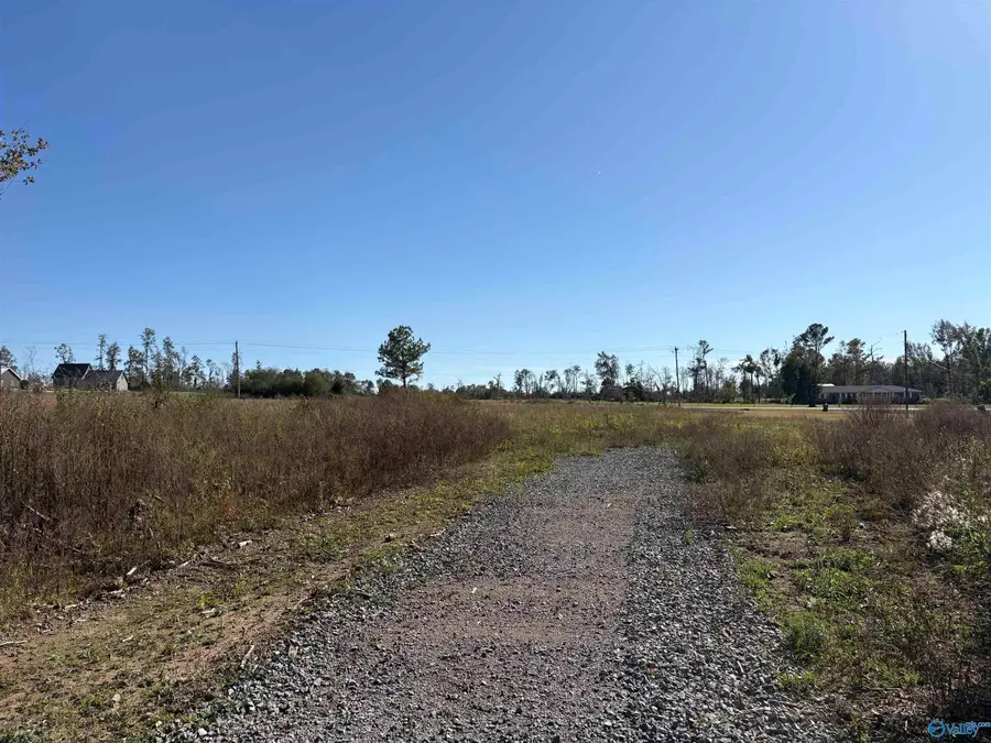 Lot 5 Hwy 40, Henagar, AL 35978 - Image #3