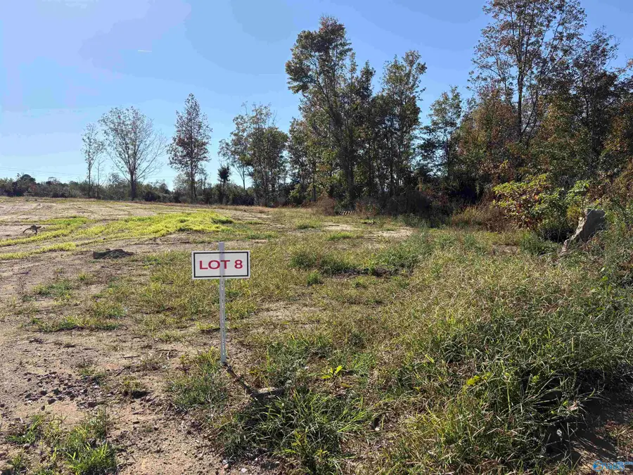 Lot 8 Hwy 40, Henagar, AL 35978 - Image #2