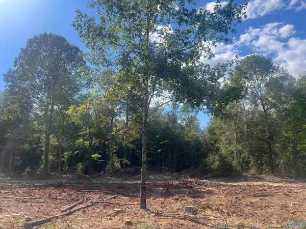 Lot 2, Tract 3 Summer Breeze Drive, Cedar Bluff, AL 35959