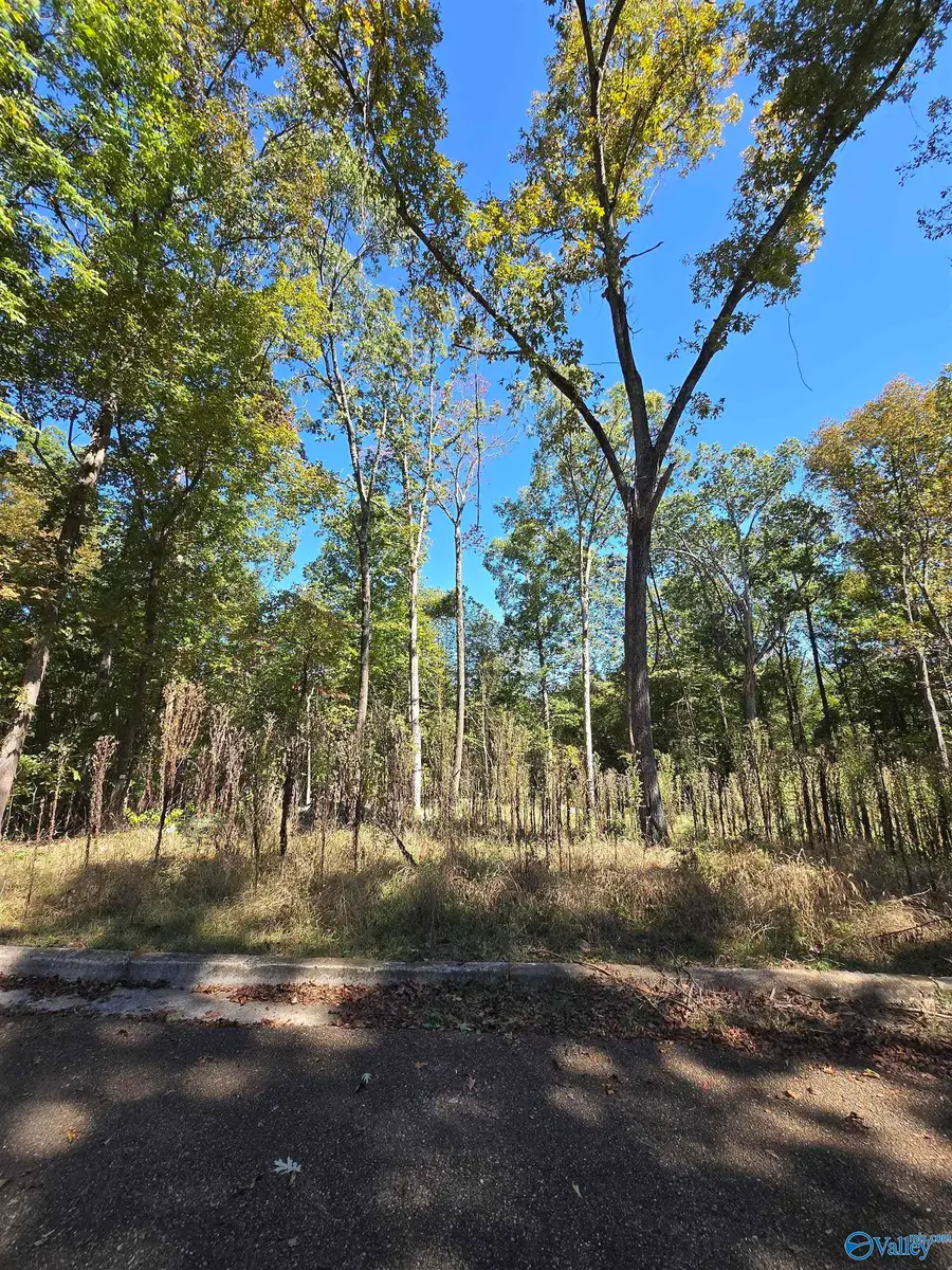 6106 Tuscaloosa Drive Nw, Huntsville, AL 35810 - Image #3