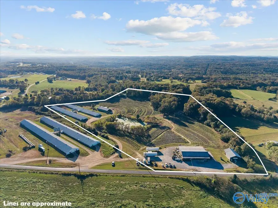 24 Reneau Road, Oneonta, AL 35121 - Image #2