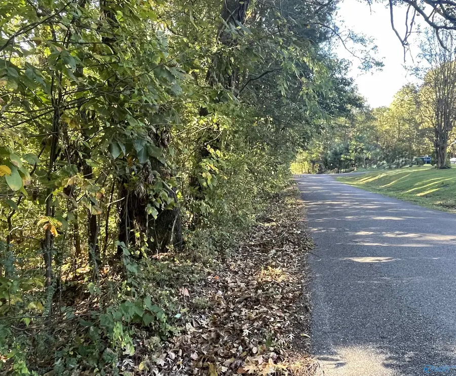 Lots 7-12 Halsey Street, Gadsden, AL 35901 - Image #2