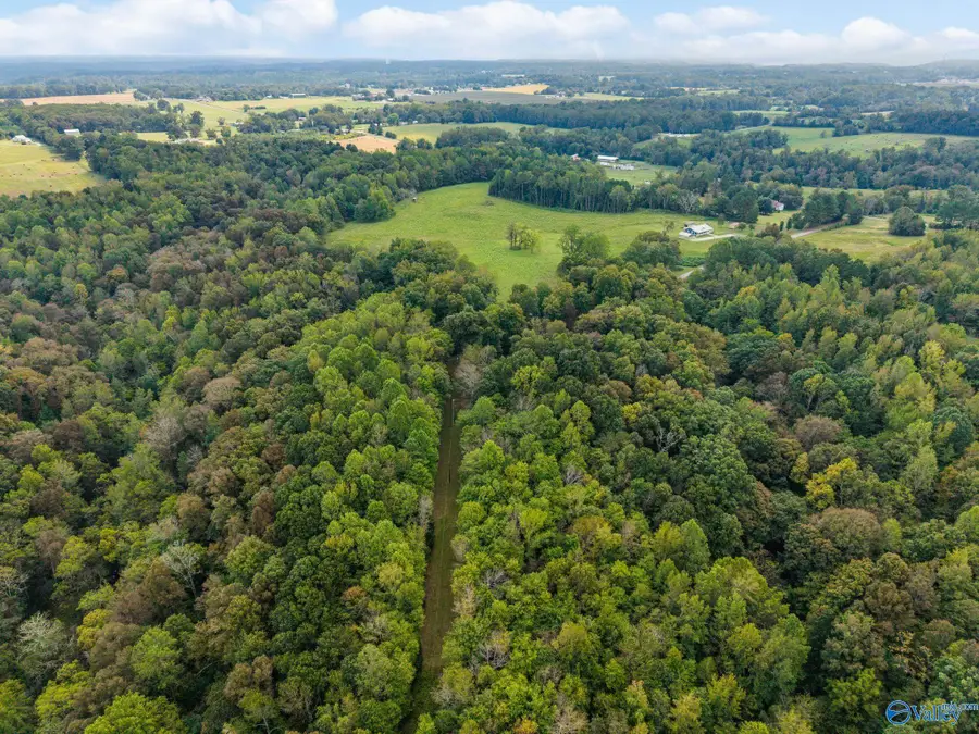 13.2 Acres Aunt Ann Hill Road, Lester, AL 35647 - Image #2