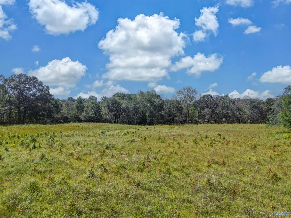 16 acres Holland Road, Horton, AL 35980 - Image #1