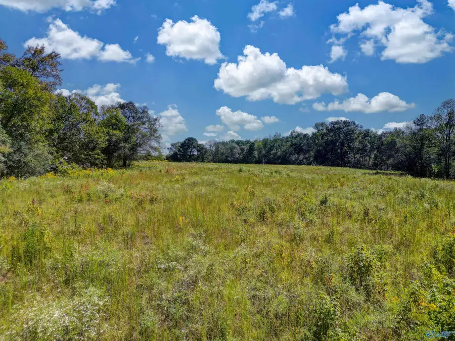 16 acres Holland Road, Horton, AL 35980 - Image #3