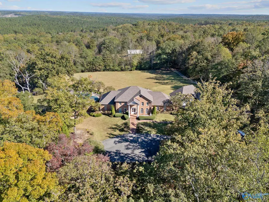 23484 Highway 195, Double Springs, AL 35553 - Image #2