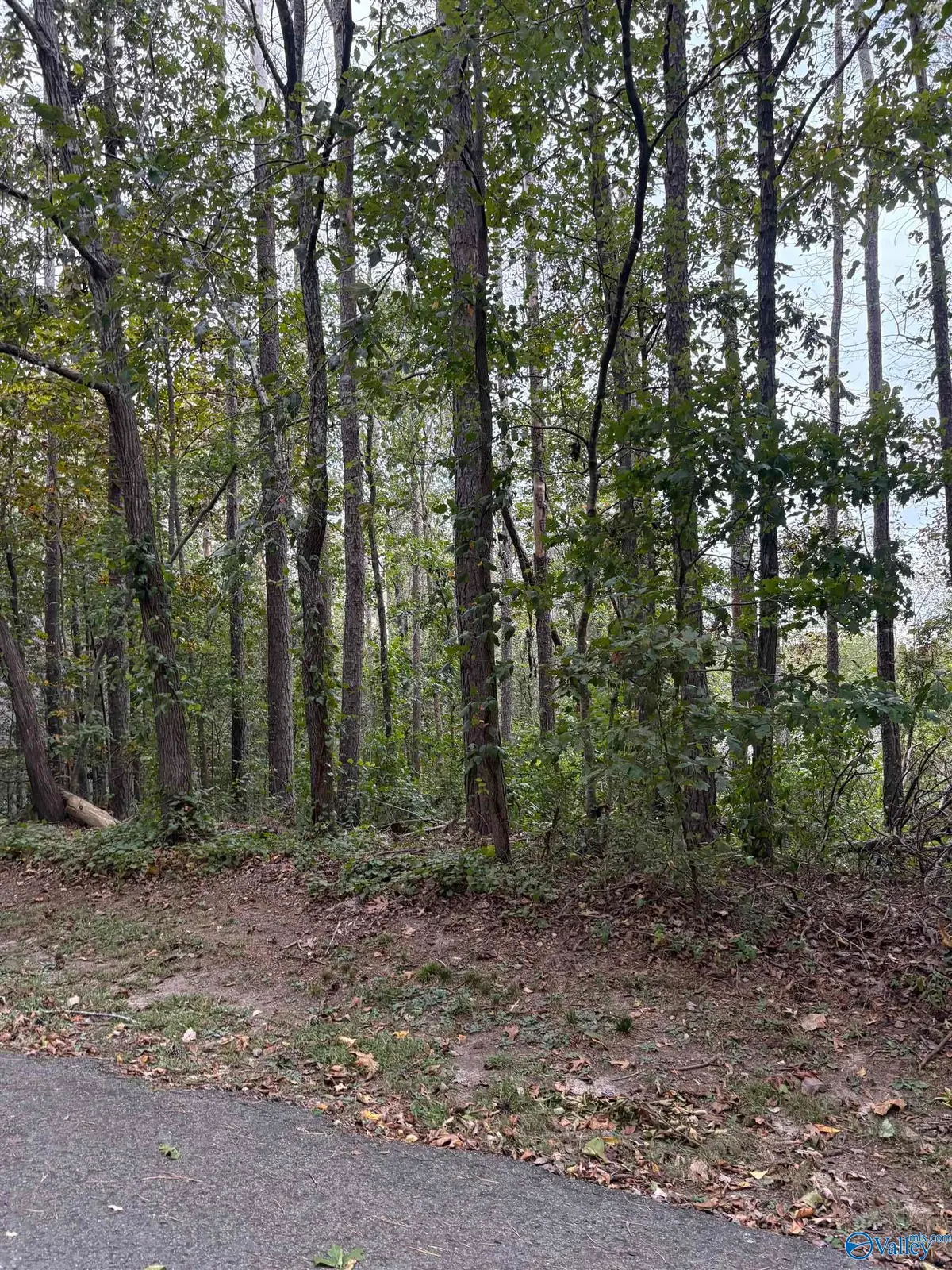 LOT 105 Creekwood Drive, Cherokee Ridge, AL 35175 - Image #1