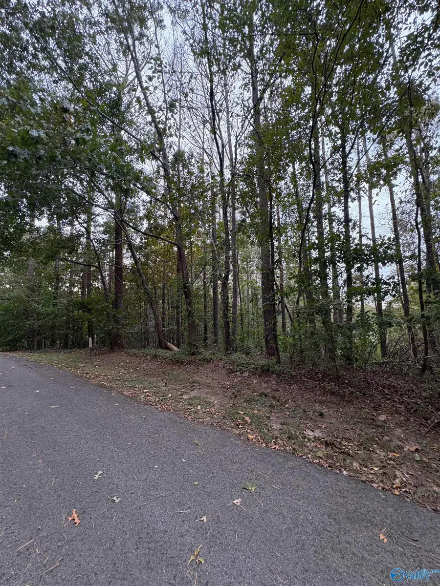 LOT 105 Creekwood Drive, Cherokee Ridge, AL 35175 - Image #2