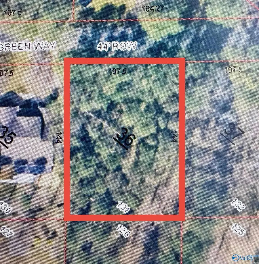 Lot 131 Pinecrest Drive, Cherokee Ridge, AL 35175 - Image #3