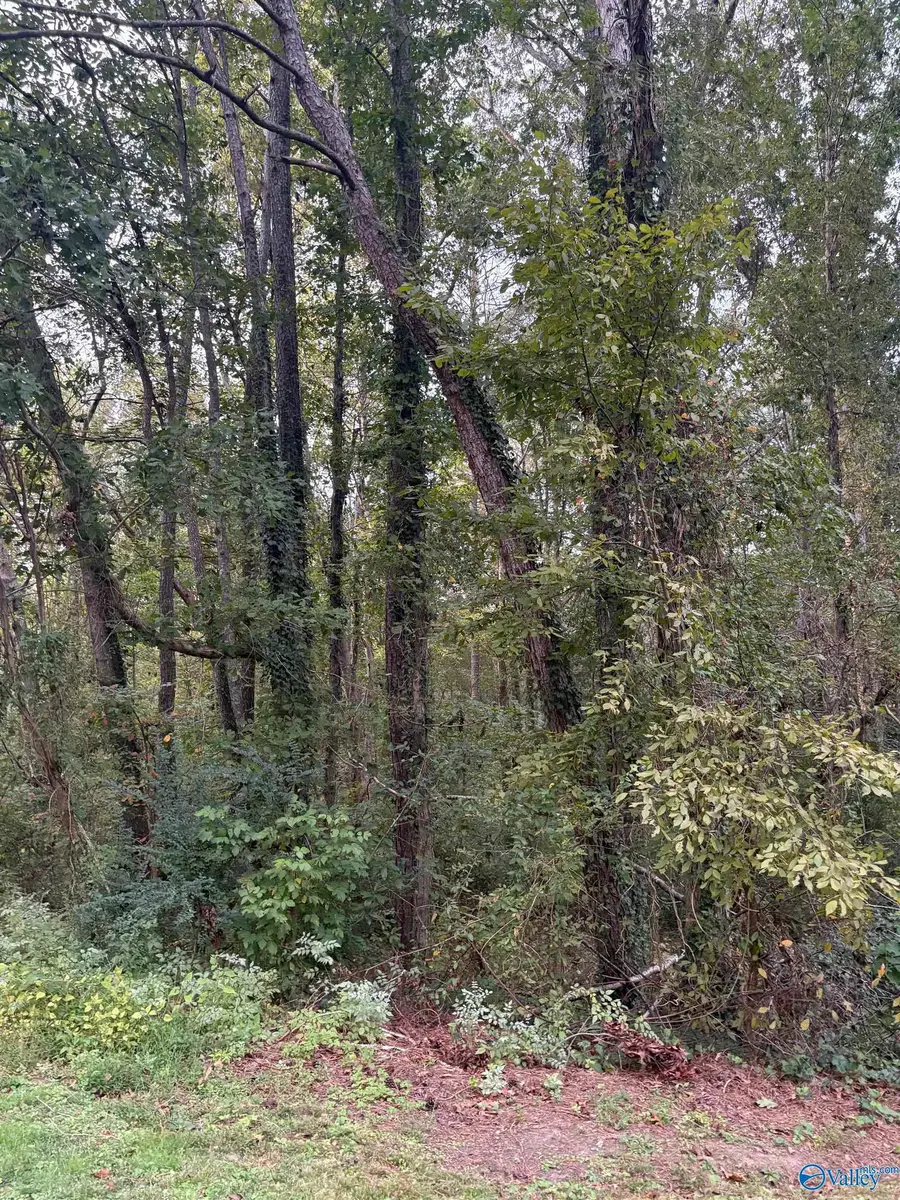 LOT 114 Creekwood Drive, Cherokee Ridge, AL 35175 - Image #2