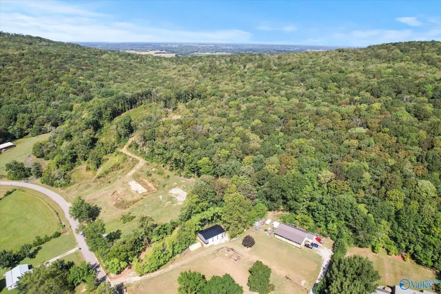 2282 Hurricane Road, New Market, AL 35761 - Image #3